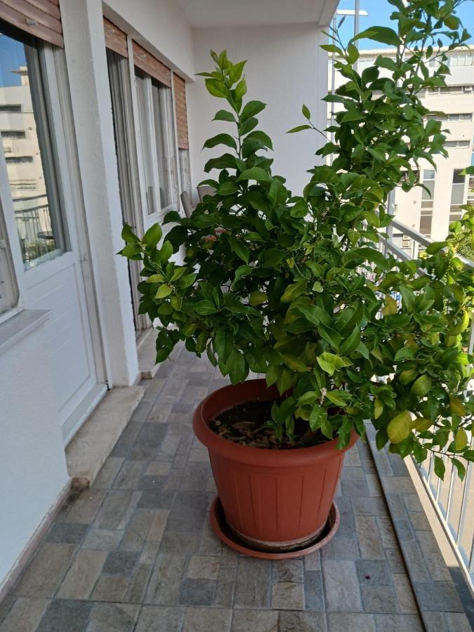 Room With Private Toilet And Terrace In City Center In Shared Apartment Split Zewnętrze zdjęcie